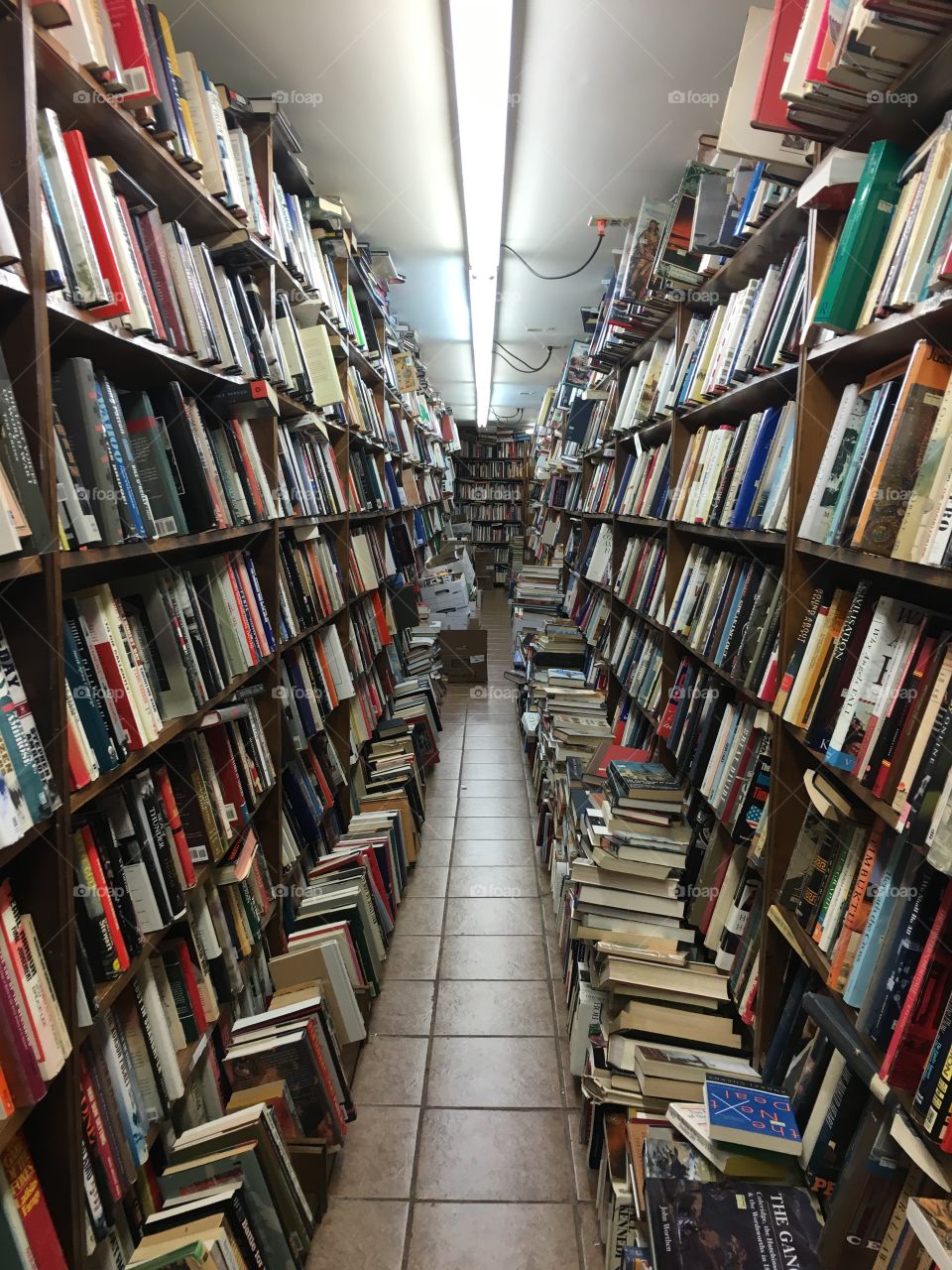 A sea of books