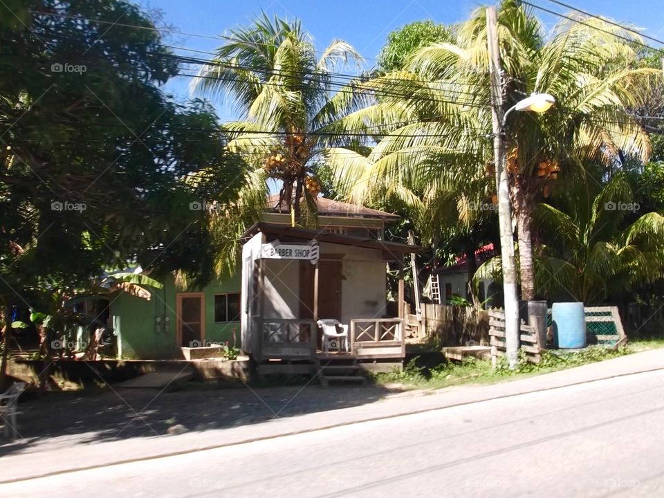 Picture from moving car traveling in Roatan Honduras  