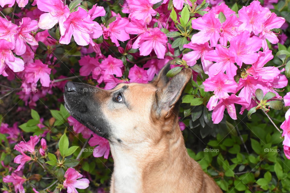 Take time to smell the flowers!