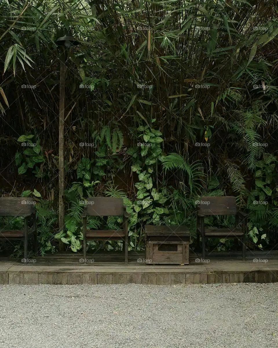 Glory be to God, the magnificent and picturesque view and the natural green trees are a view that is nothing more wonderful than it