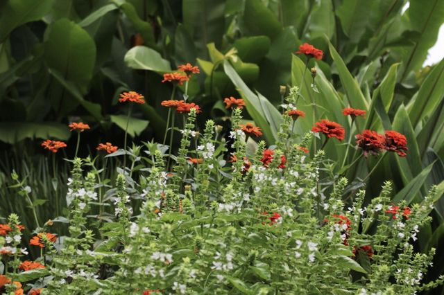 Spring is here! Colorful flowers end butterflies and bees living a sunny day