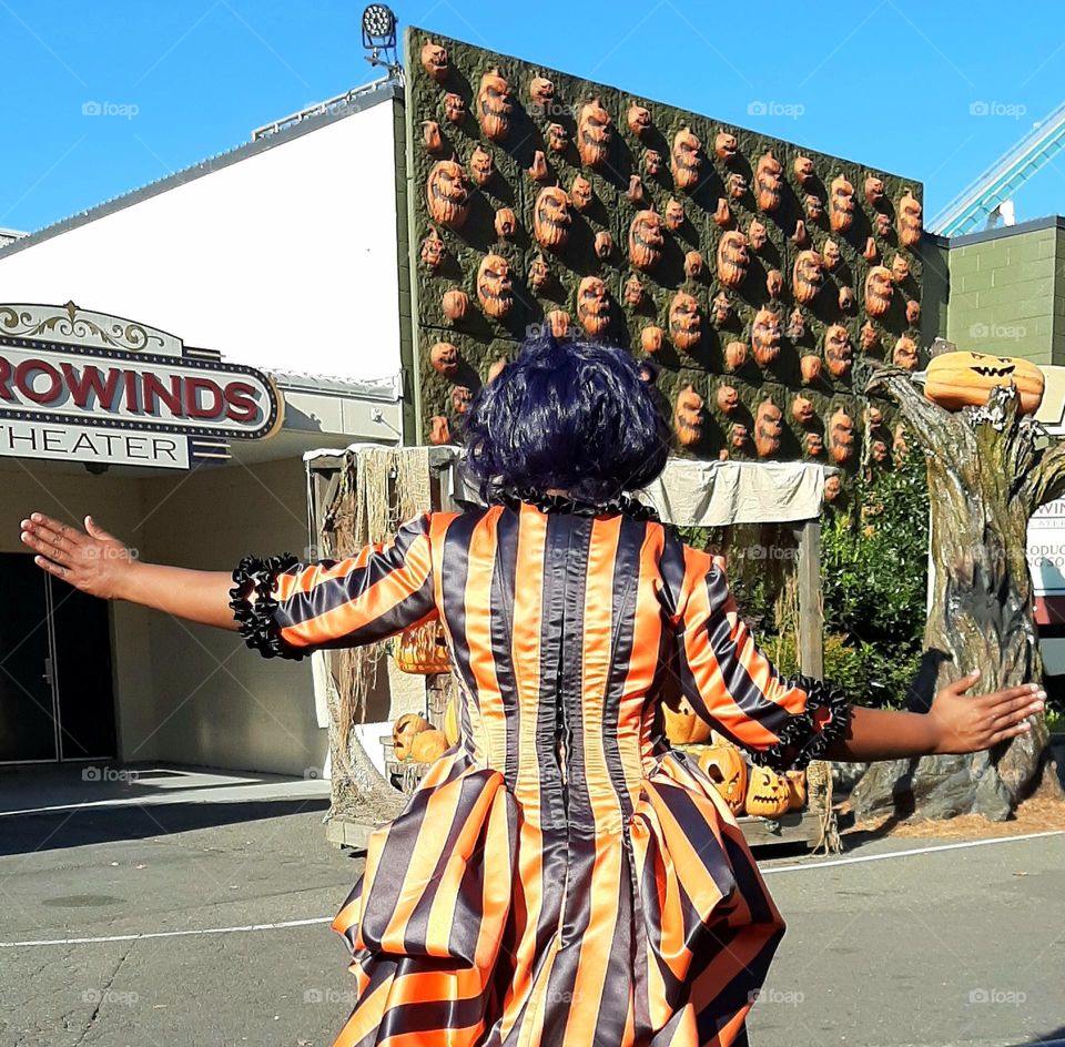 Autumn colors-Orange