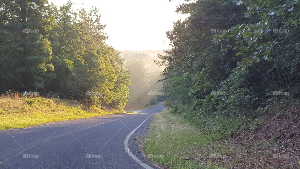 Road into the valley