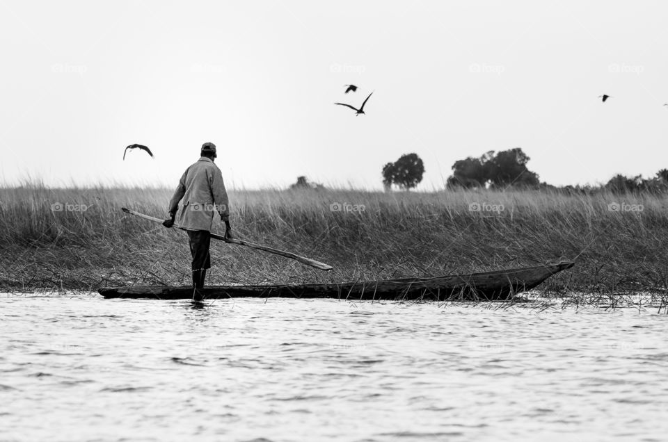 Worker going home after a long day's work on his boat on a river in Africa. Birds and fields over the river banks.