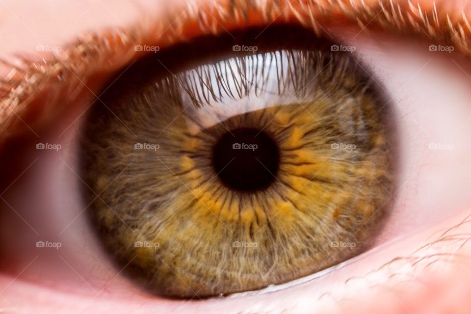 Eye close up