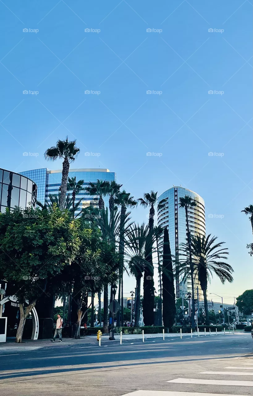 Downtown San Diego 