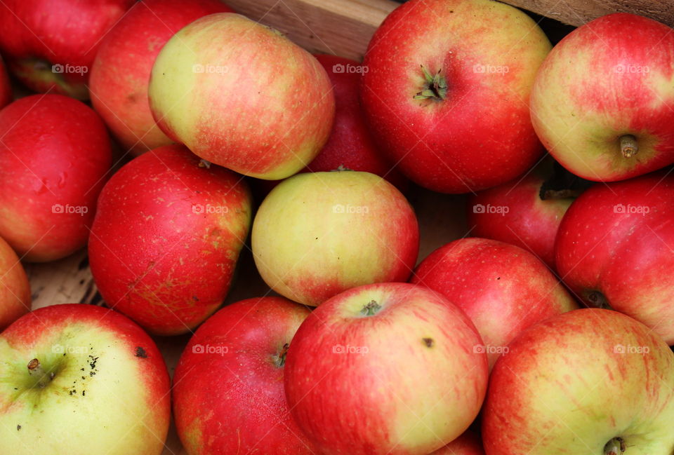 Fresh red apples