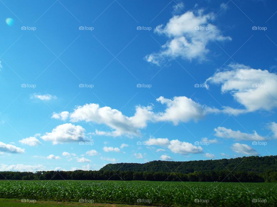 Clouds in the Sky way up High
