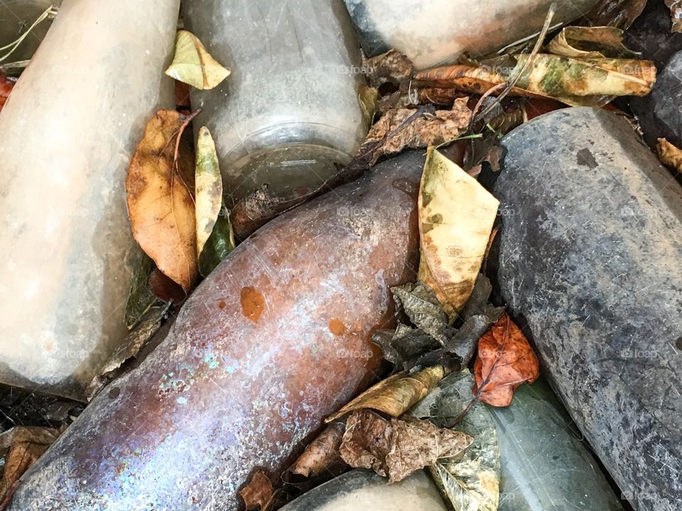 Bottle dump antique vintage and retro milk bottles, medicine bottles, beer bottles, wine bottles, old glass broken dirty jagged muddy 