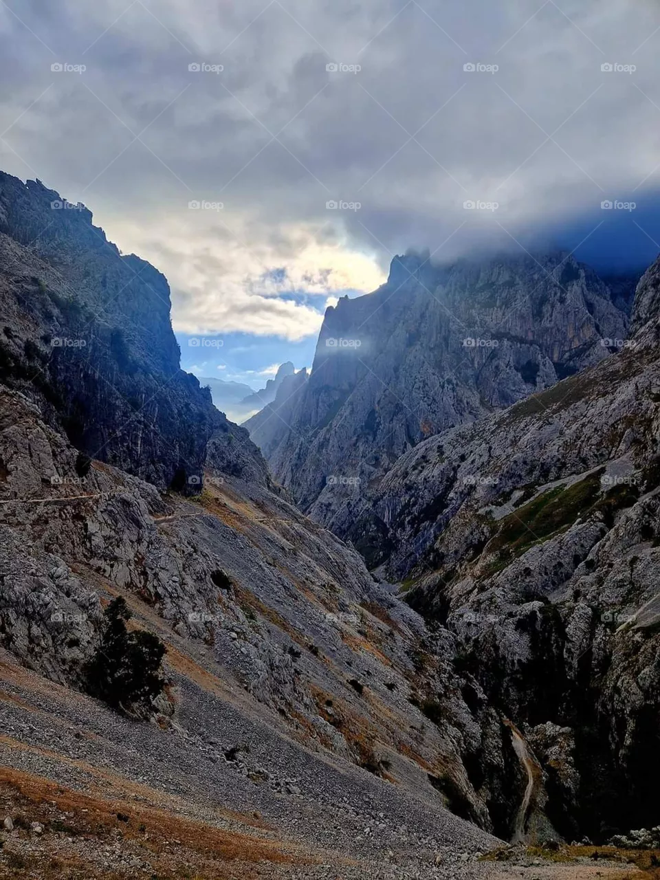mountain
