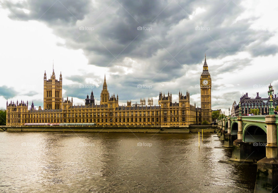 The Parliament