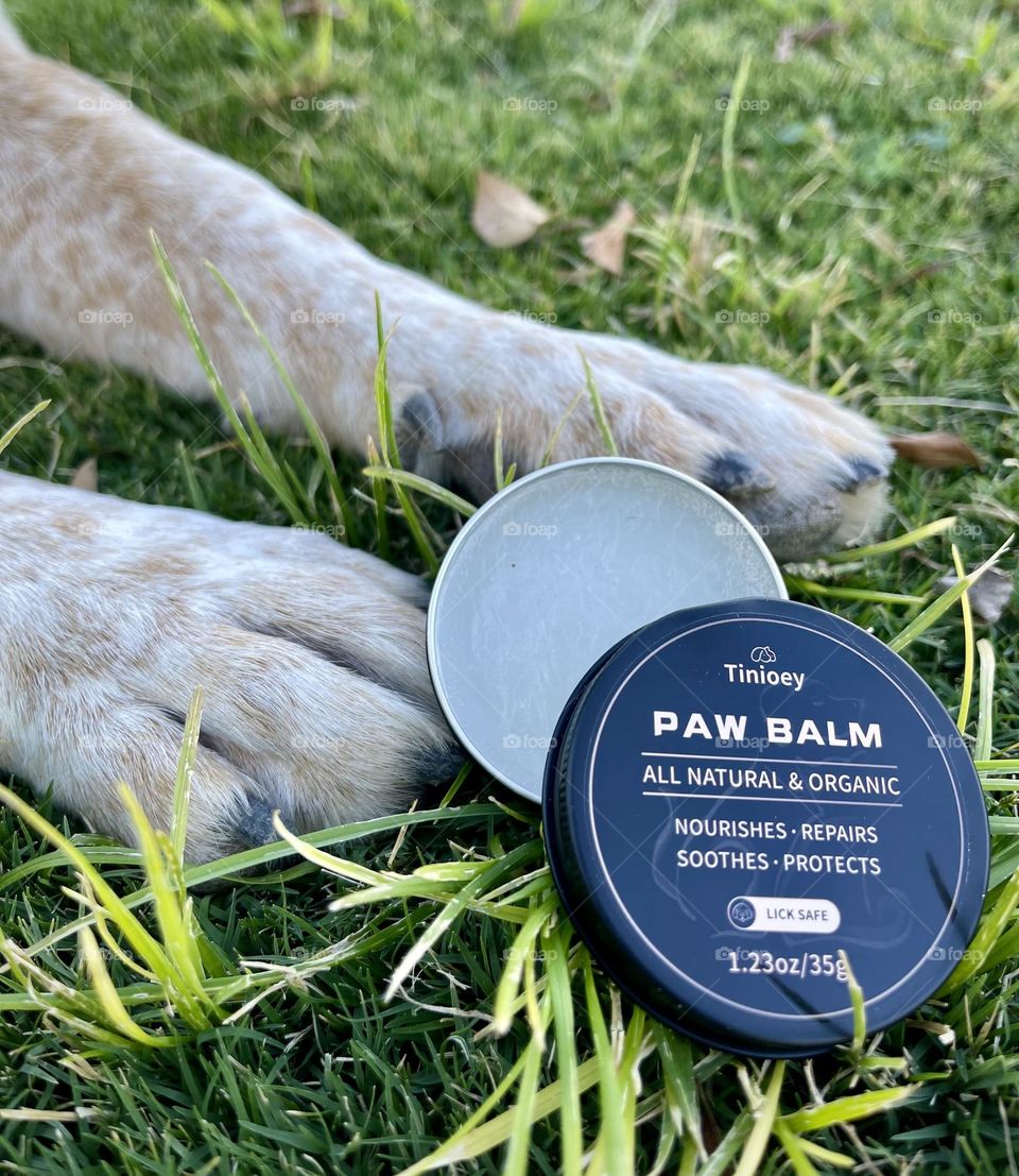 Paw Balm for Pets 