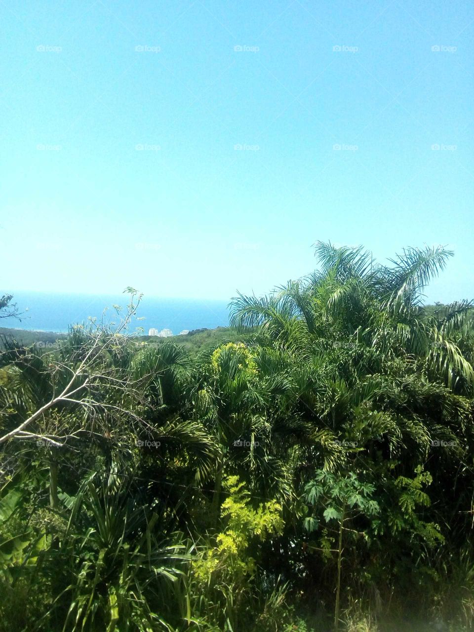 this is one of the muse wonderful view I have  ever seen in my life time just setting up in the mountains an look in to the sea .