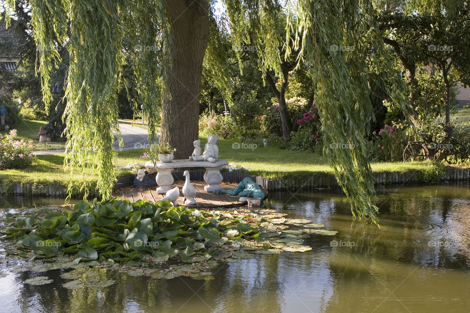 Garden, Water, Pool, Tree, Park