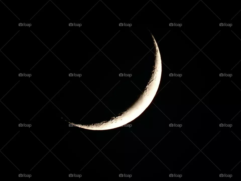 The Moon