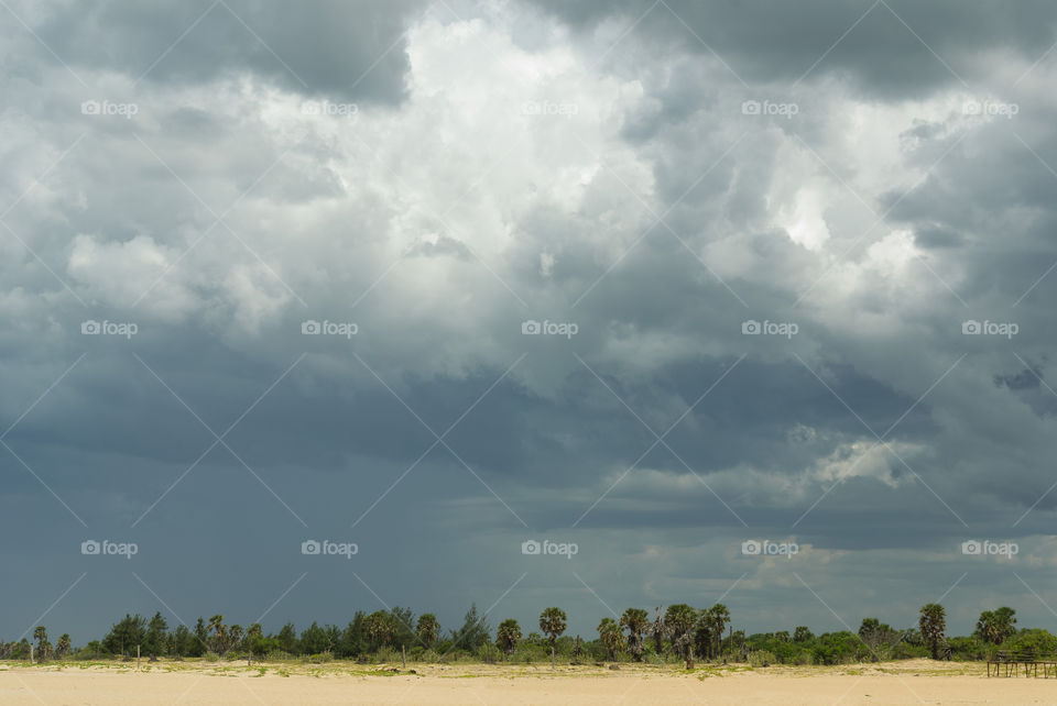 beach clouds trees sand by vidu