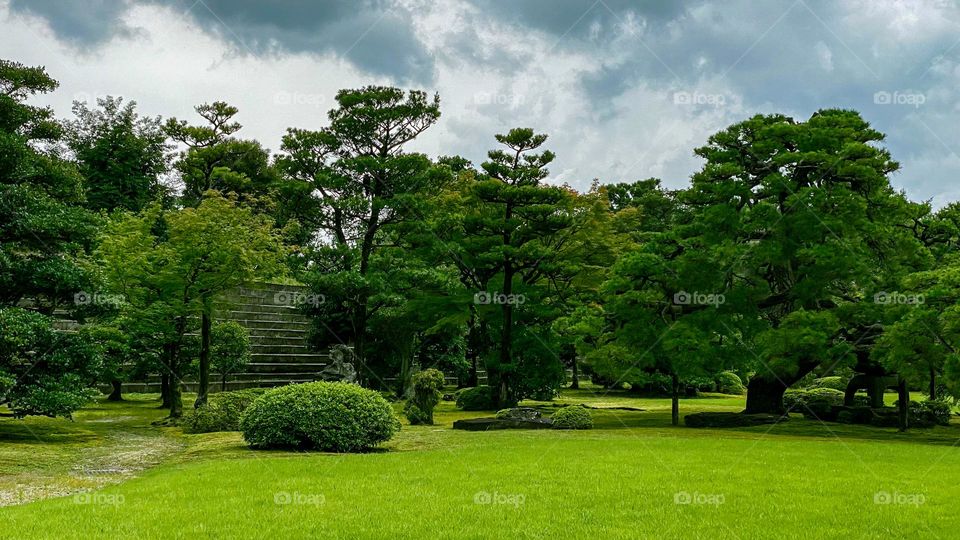 green park in summer in Japan