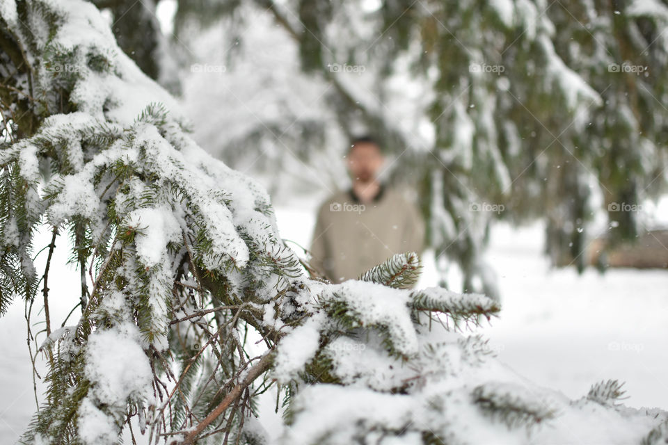 A winter storm leads to pondering and a fun photo shoot amongst the evergreens!