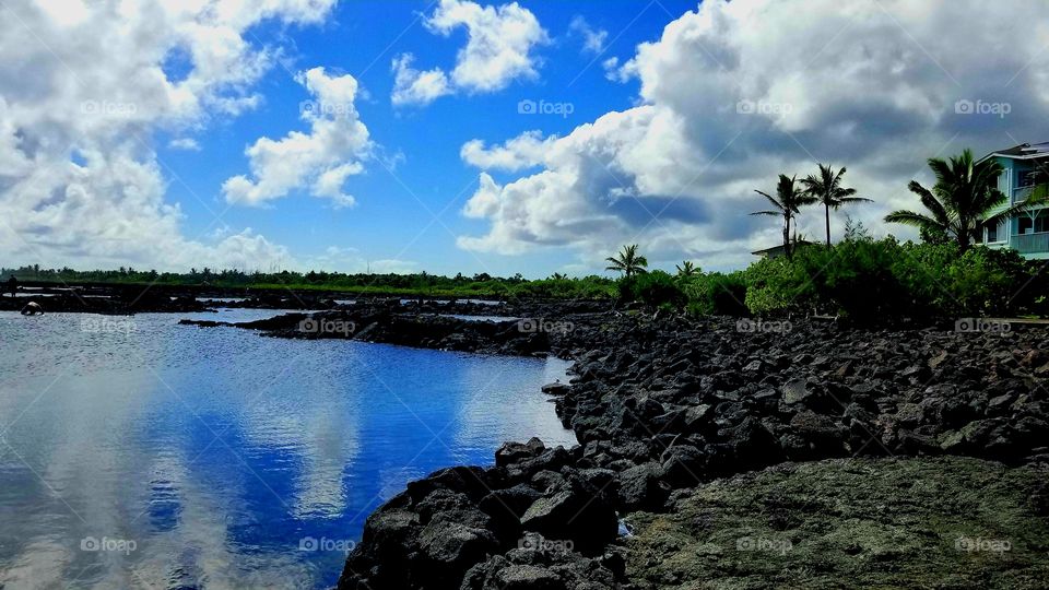 Hawaiian islands landscape garden