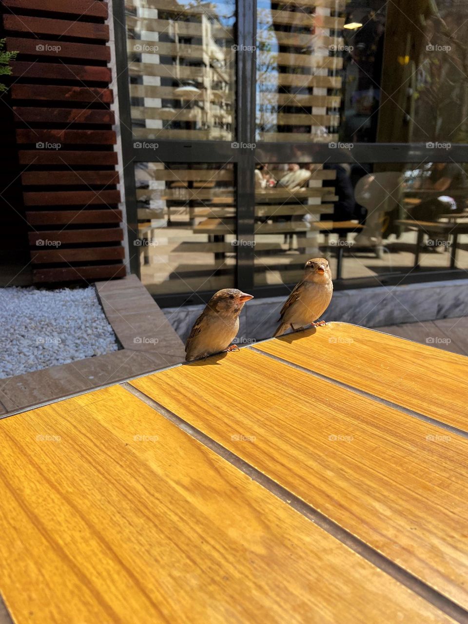 Are you ready for a serious conversation?