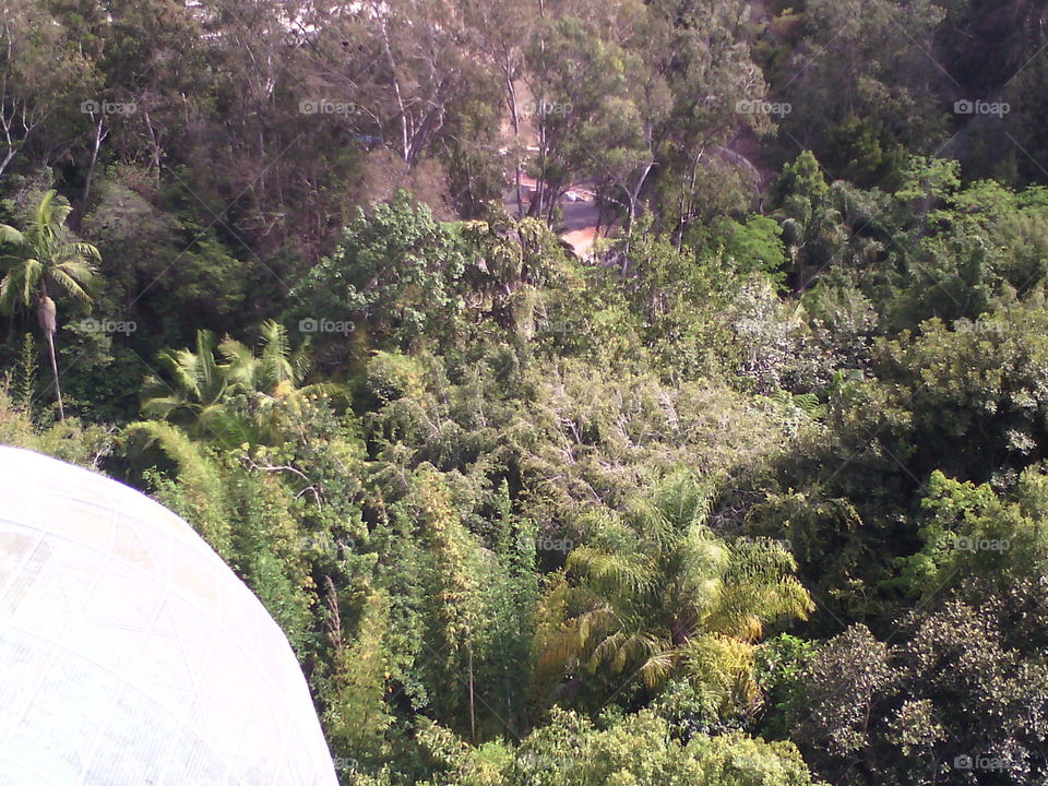 landscape from up above. I took this picture while riding in a skyline basket, absolutely breathtaking, San Diego zoo