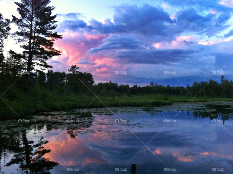 Lillypond reflections