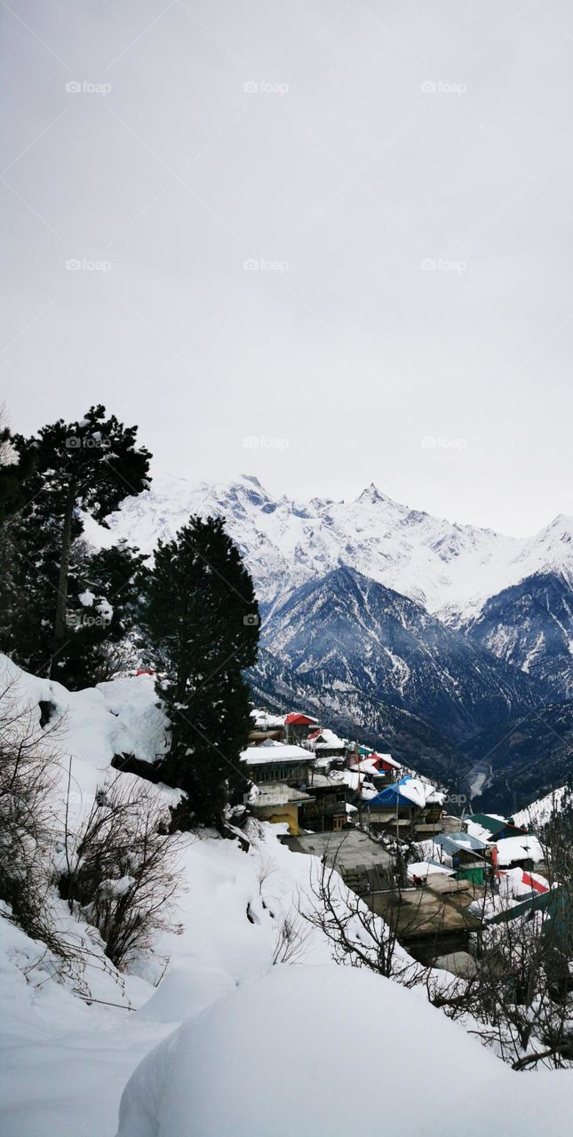 country side village in snowfall
