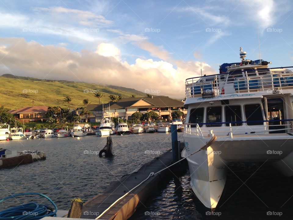 Boats in harbor