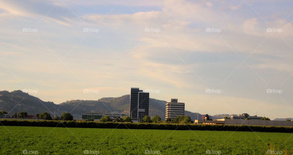 buildings