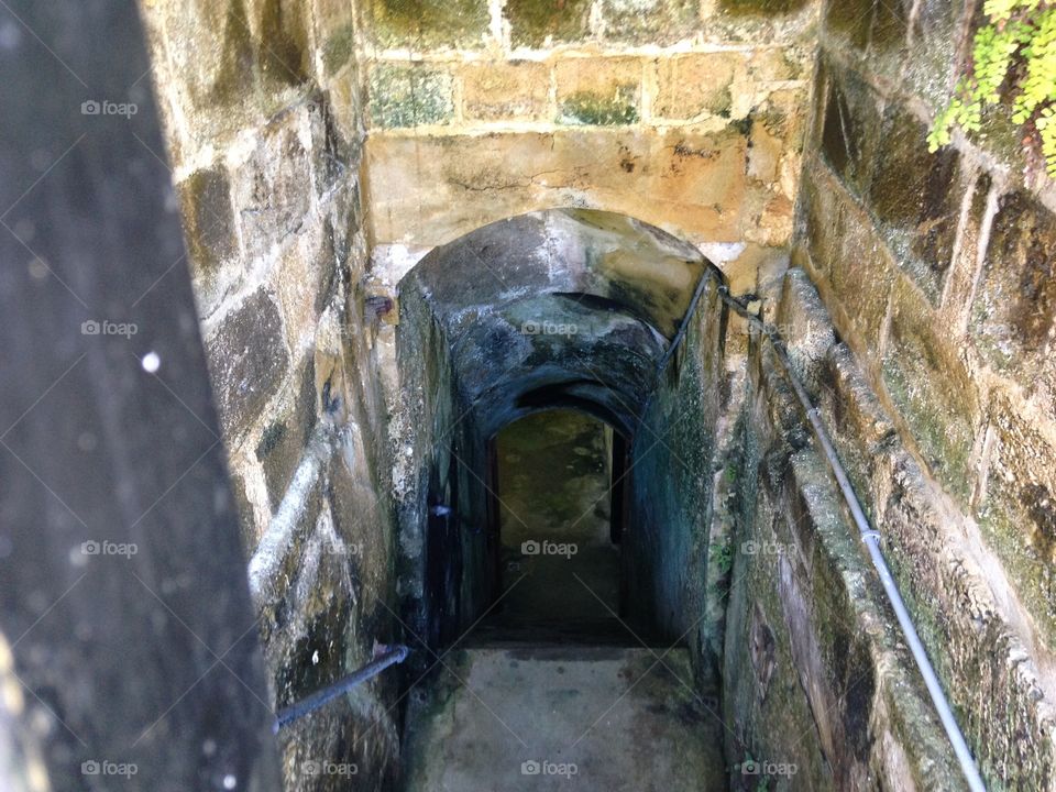 Tunnel to the Dungeon 