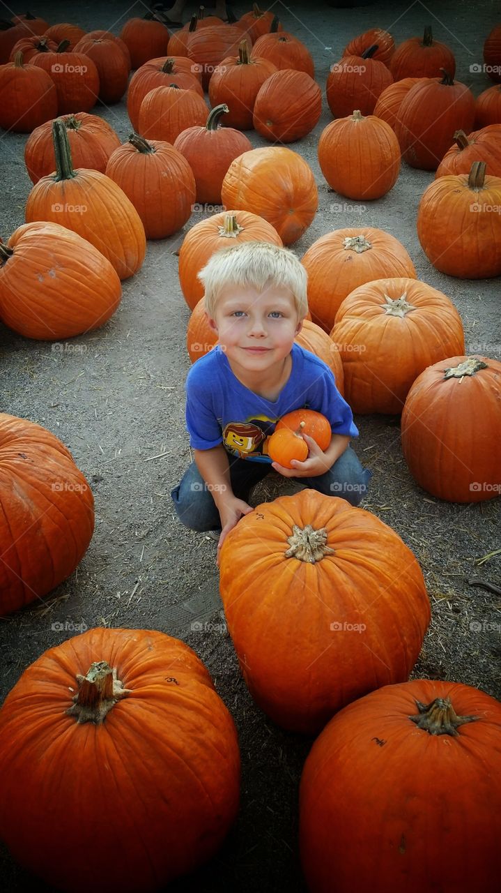 Pumpkin Boy. Every year we go to the pumpkin patch to pick out our Halloween Jack-o-Lantern.