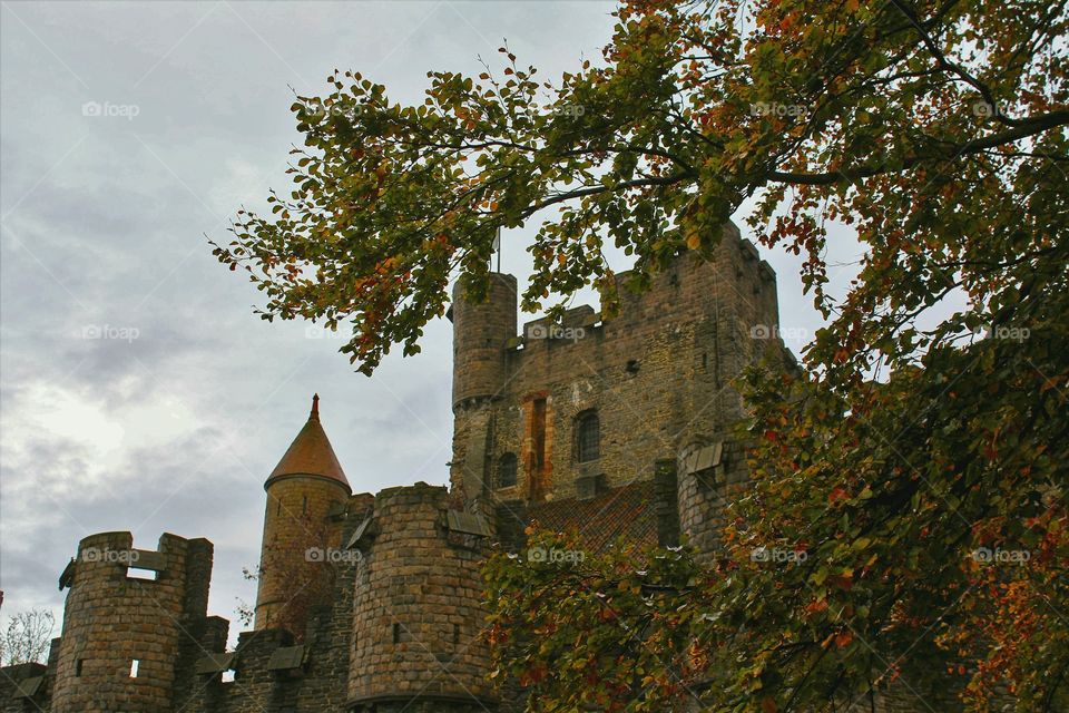 The Castle and the Leaves
