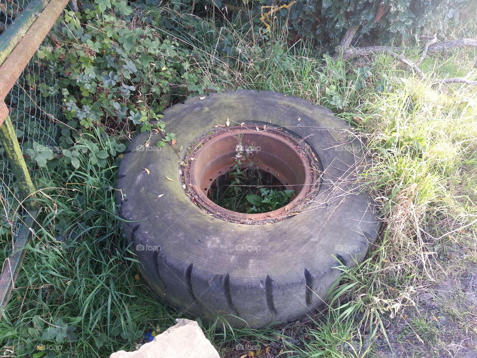abandoned tractor tyre
