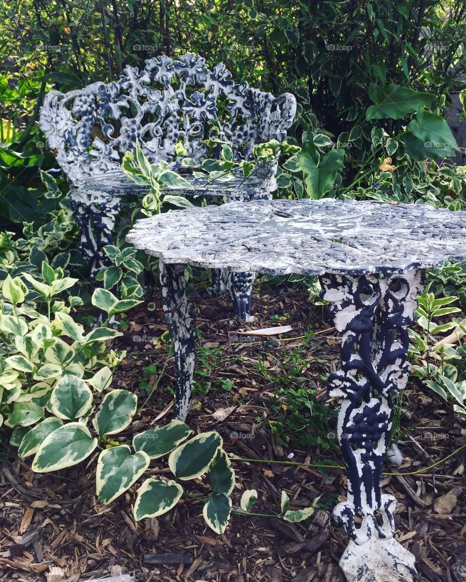 Iron bench and table in a garden of ivy and hosta plants.