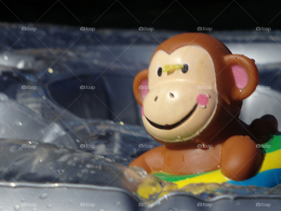 Monkey rubber duck