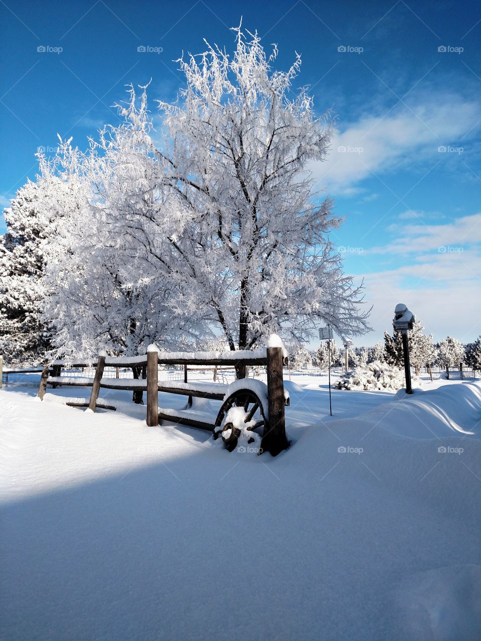 Snow Storm Crooked River Ranch Central Oregon Mountains Terrebonne Farm Wagon Wheel Frozen Ice Trees Fence