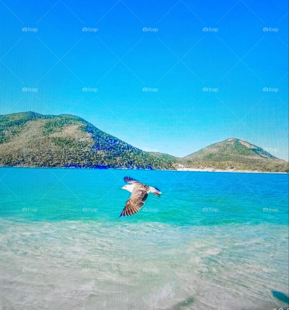 Praias do Nordeste Brasileiro