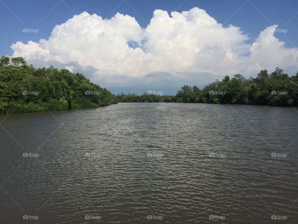 Water, Lake, River, Reflection, Tree