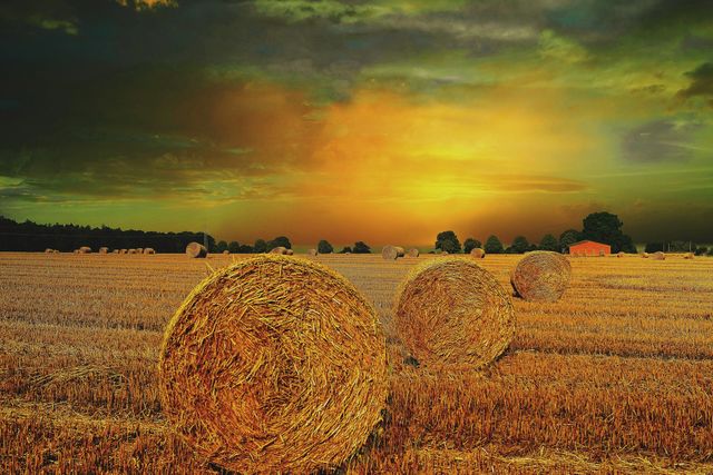 Strohballen in der Landschaft