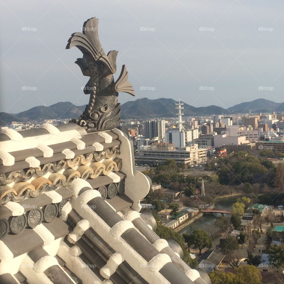 Shachi on a roof in himeji 