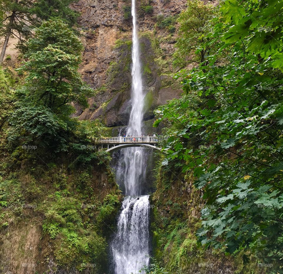 Multnomah Falls