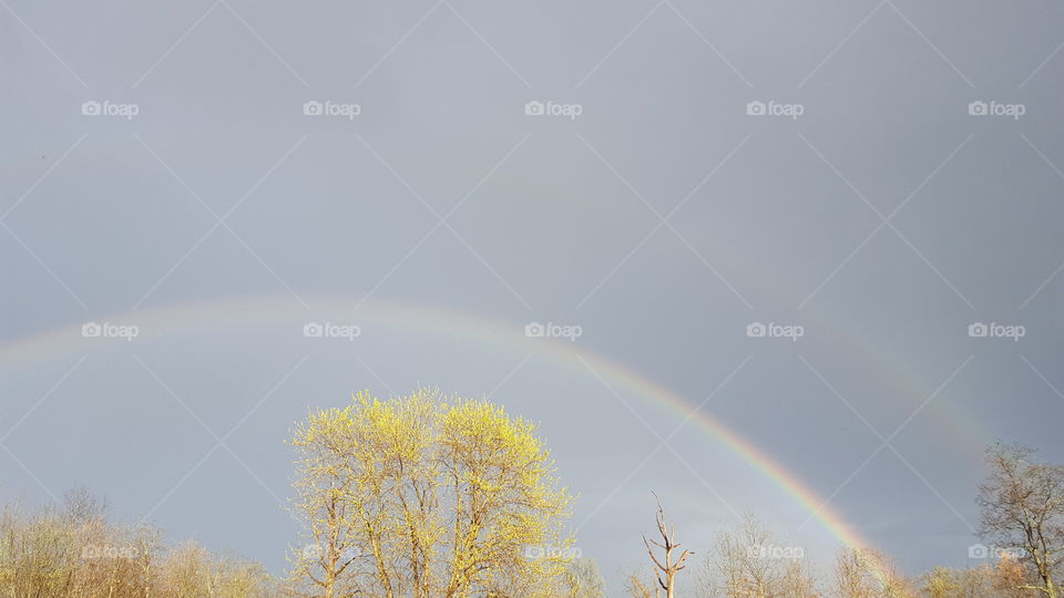 double rainbow after a spring storm