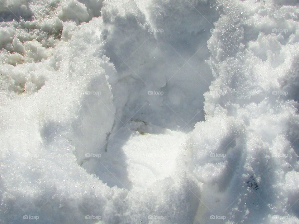 snow footprint