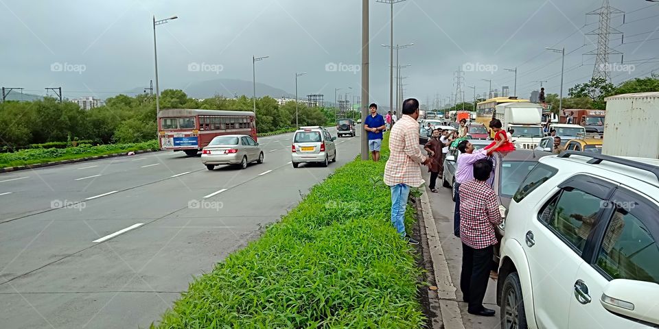 # highway# traffic# stoppage# accident# cloudy# greenery#
