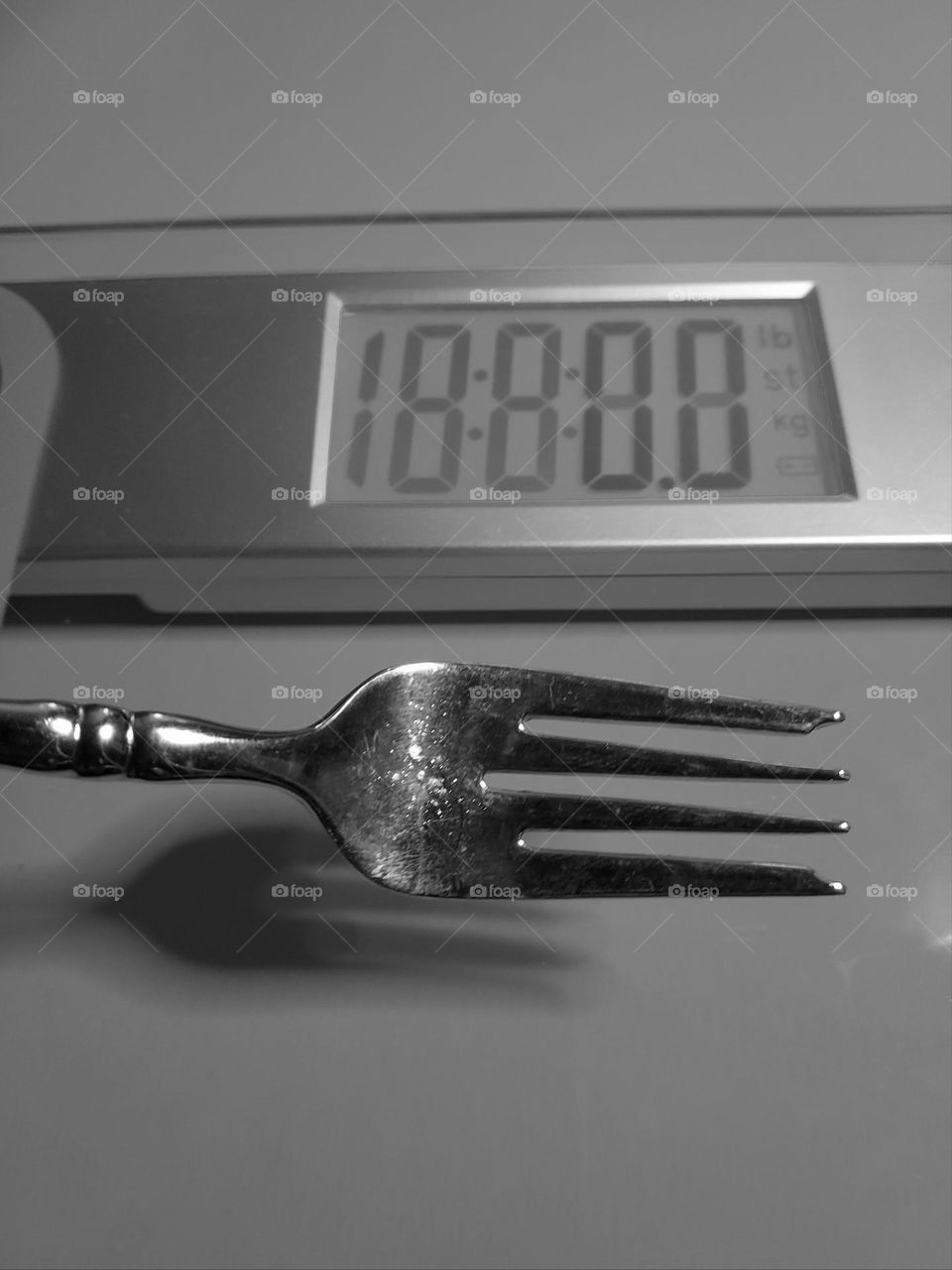 no ordinary fork, scale