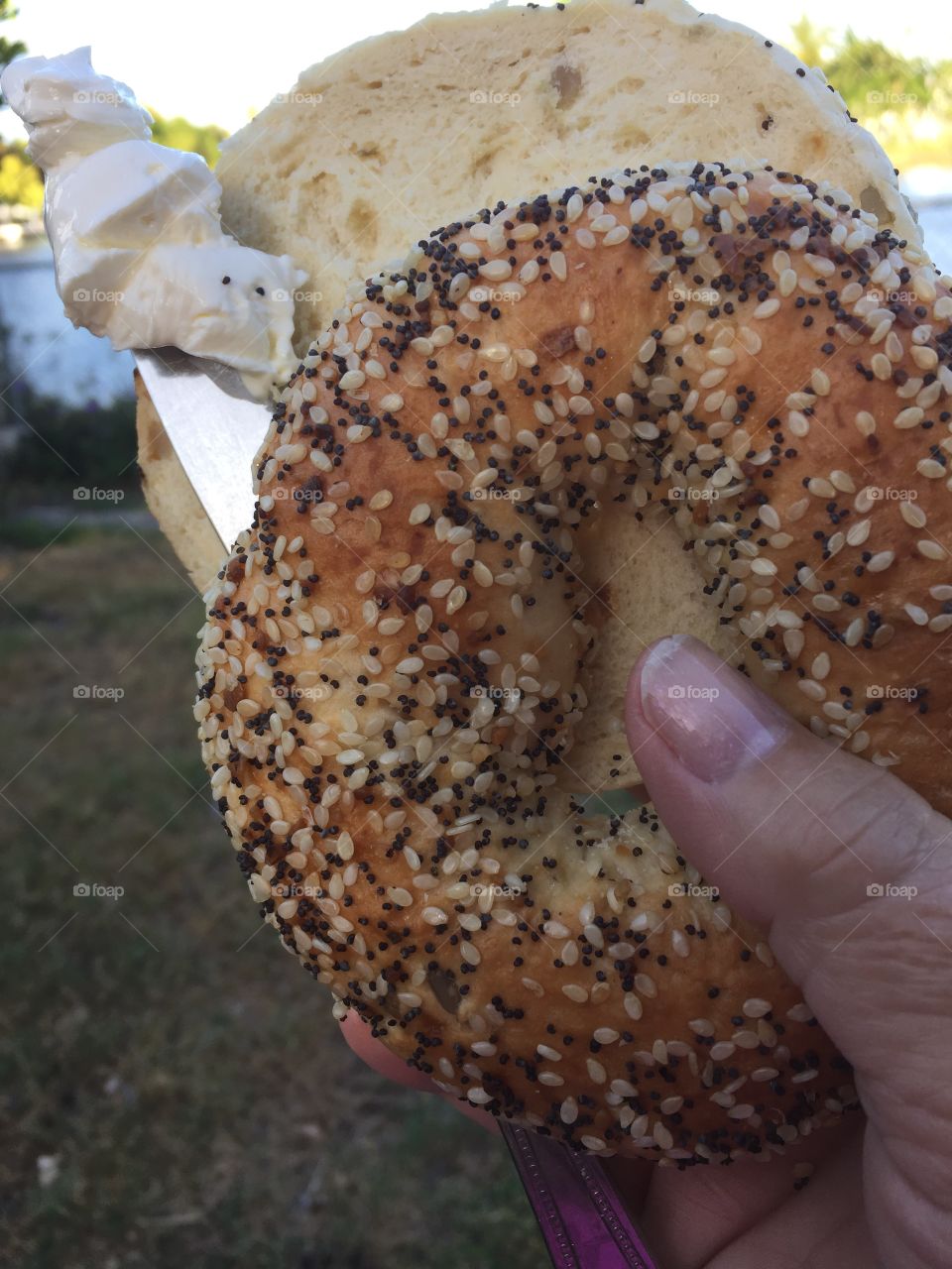 HOLDING AN EVERYTHING BAGEL