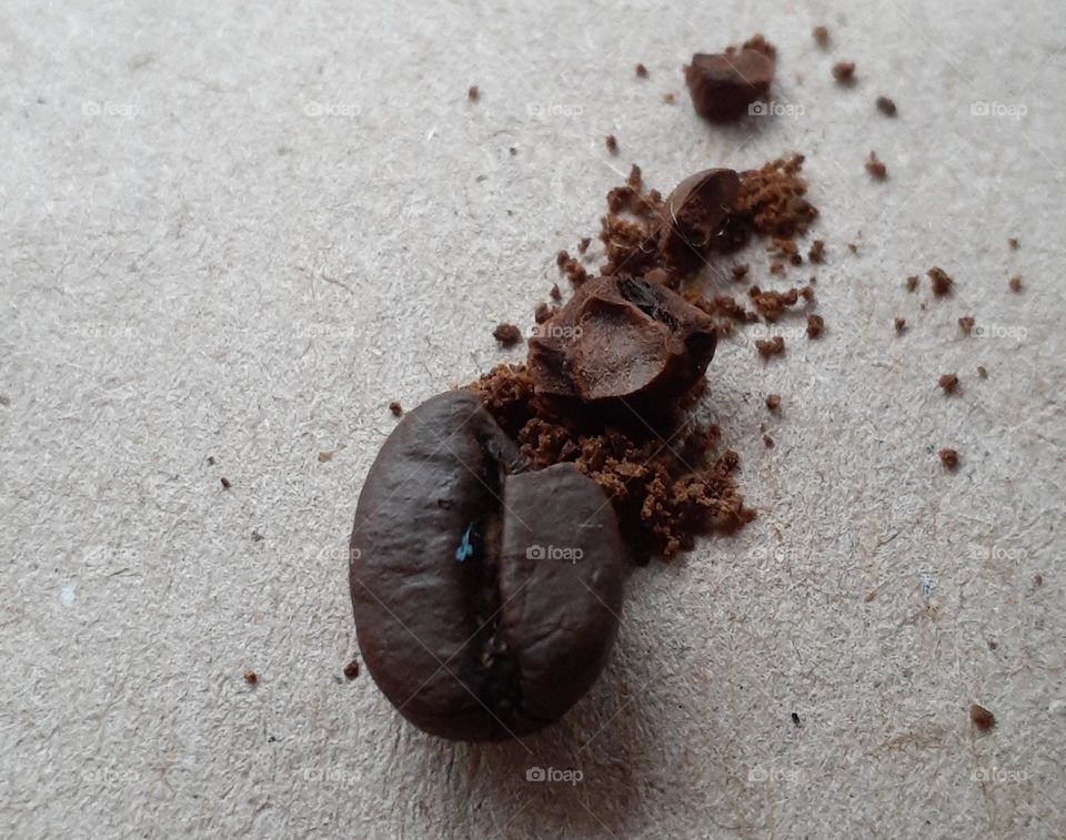 The beauty of coffee beans