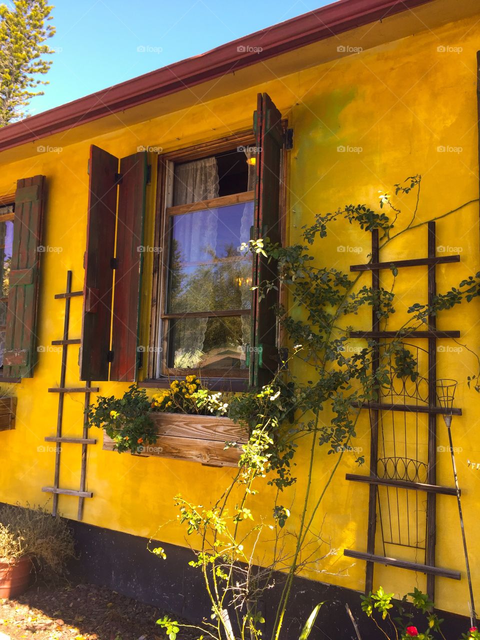 Beautiful window box