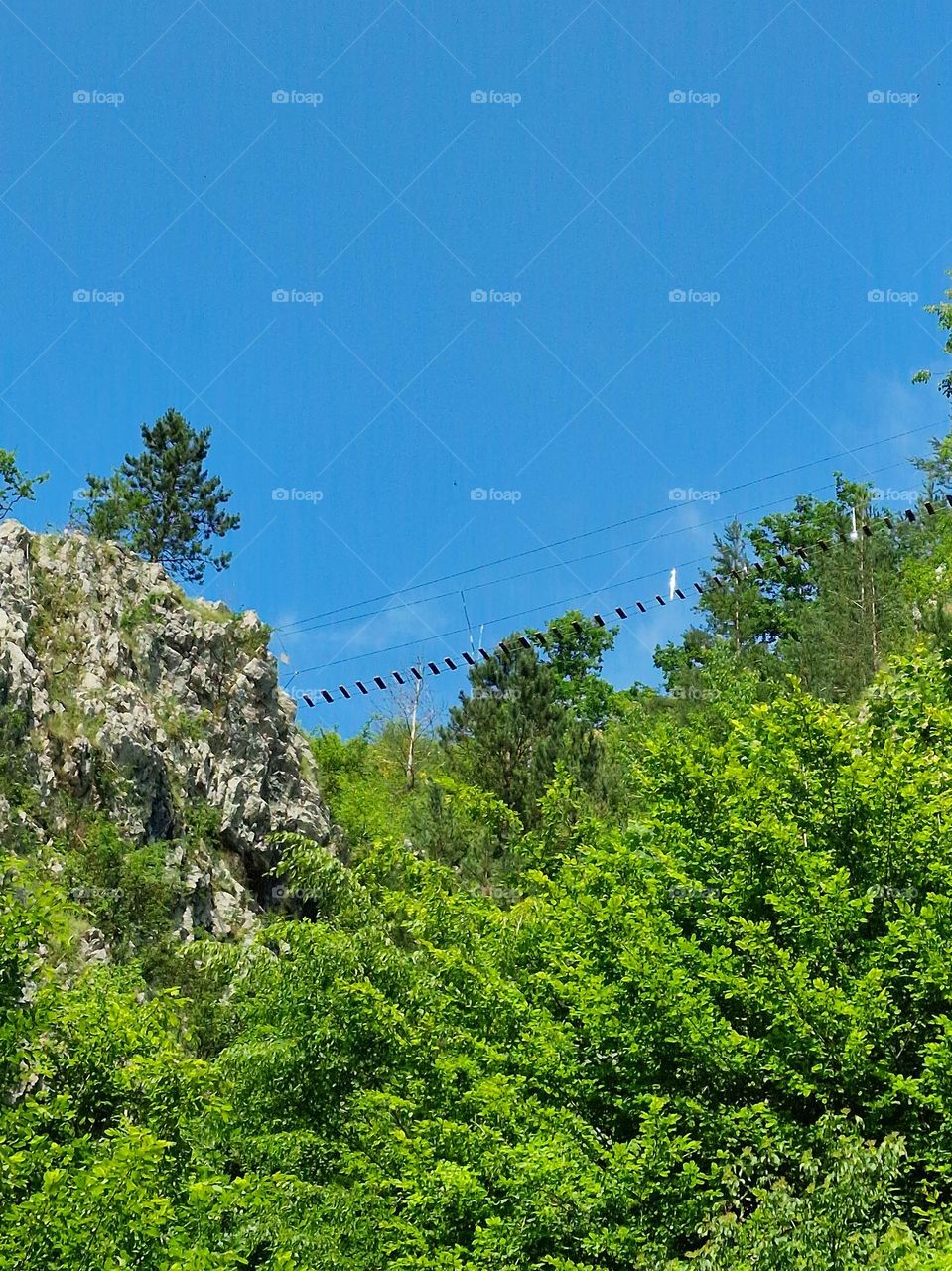 suspension bridge over the mountain