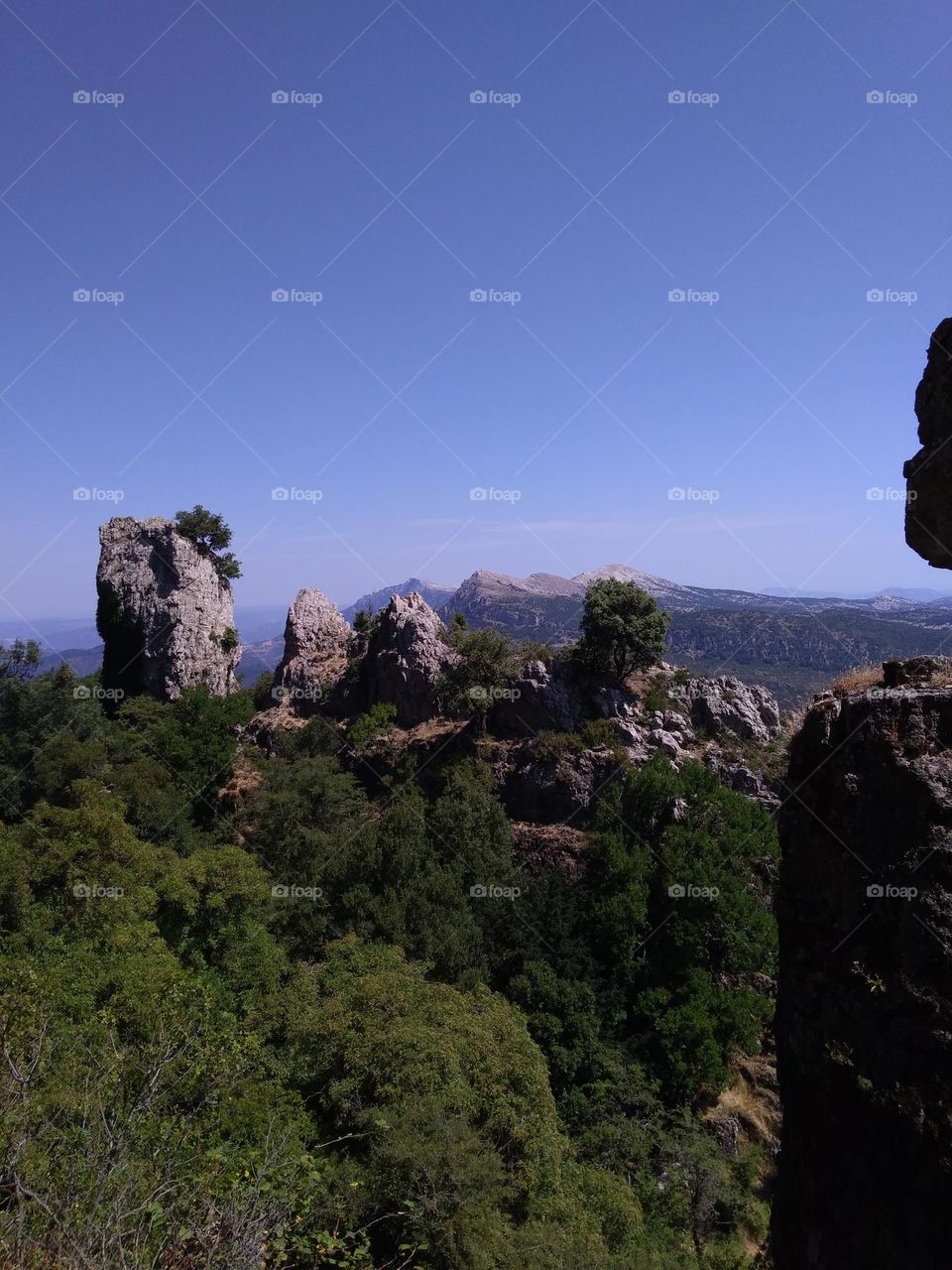 Editors' Choice: Photo of the Week